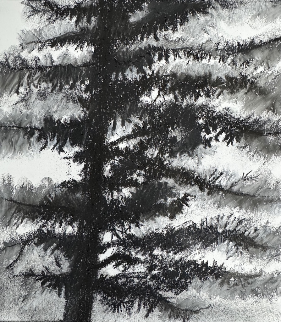 Click here to view Piney Impressions by Helen E. Becker