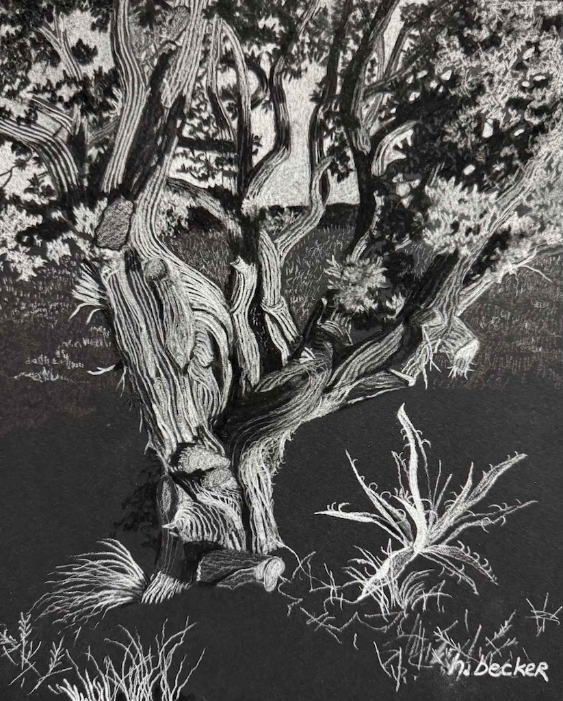 Click here to view Magic Tree by Helen E. Becker